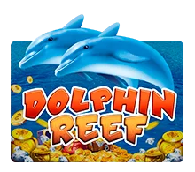 Dolphin-Reef
