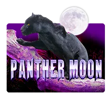 Panther-Moon